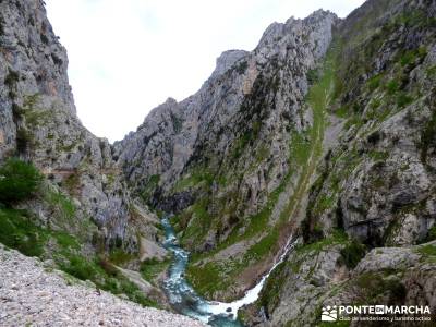 Ruta del Cares - Garganta Divina - Parque Nacional de los Picos de Europa;circuitos culturales